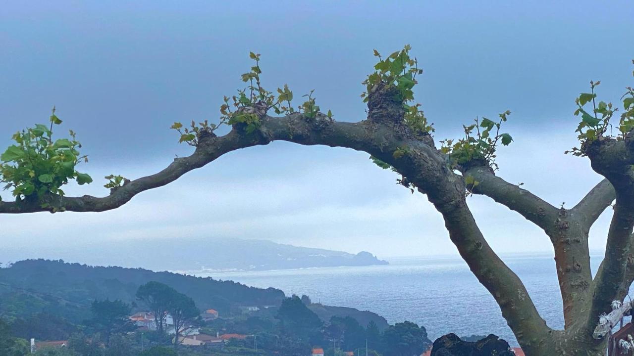 Miradouro Da Papalva Guest House - Pico - Azores Sao Joao  Esterno foto